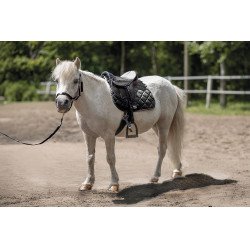 Silla para Shetland set Lucy HKM Negro