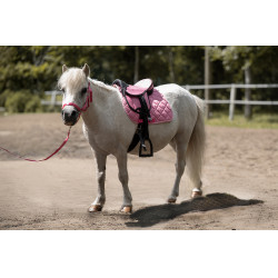 Silla para Shetland set Lucy HKM Rosa