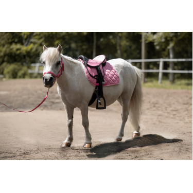 Silla para Shetland set Lucy HKM Rosa