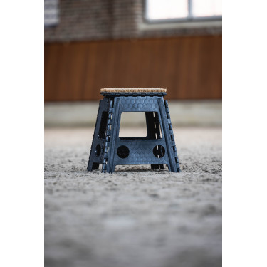 Taburete plegable con felpudo HKM Negro Taburete plegable con felpudo HKM Negro