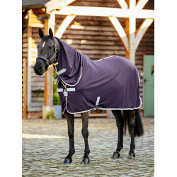 Camisa LeMieux Arika DryEase Enebro Violeta