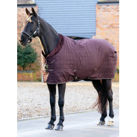 Manta de cuadra LeMieux Kudos Luxe forrada Ciruela damascena Violeta