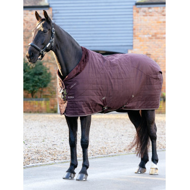 Manta de cuadra LeMieux Kudos Luxe forrada Ciruela damascena Violeta