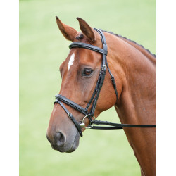 Cabezada Bodenham Salisbury Shires Negro