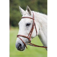 Cabezada con muserola cruz Raised Flash Avignon Shires Roble Cabezada con muserola cruz Raised Flash Avignon Shires Roble