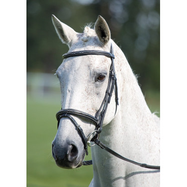Cabezada con muserola cruz Raised Flash Avignon Shires Negro