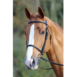 Cabezada con muserola francesa Aviemore Shires Negro