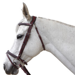 Brida Flags & Copa Aquisgrán