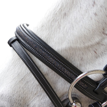 Brida Flags & Copa Aquisgrán