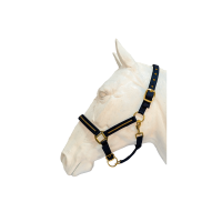 Conjunto de cabestro y ramal Flags & Cup Nossy Marino Azul marino