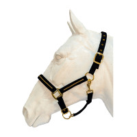 Conjunto de cabestro y ramal Flags & Cup Nossy Negro