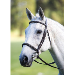Cabezada Cavesson muserola francesa Avignon Shires Negro
