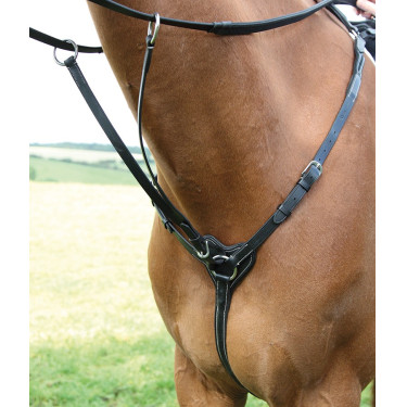 Pechopetral 3 puntos Salisbury Shires Negro