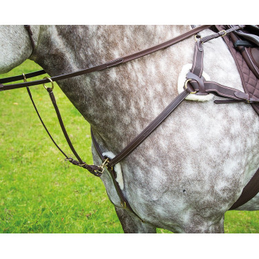 Pechopetral 5 puntos Salisbury Shires Havana Marrón Pechopetral 5 puntos Salisbury Shires Havana Marrón