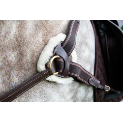 Pechopetral 5 puntos Salisbury Shires Havana Marrón Pechopetral 5 puntos Salisbury Shires Havana Marrón