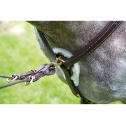 Pechopetral 5 puntos Salisbury Shires Havana Marrón Pechopetral 5 puntos Salisbury Shires Havana Marrón