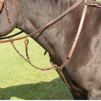 Pechopetral  Avignon Shires Roble