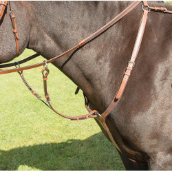Pechopetral  Avignon Shires Roble