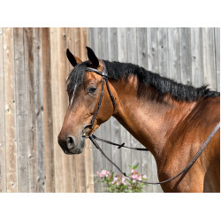 Brida T de T Esencial Confort Havana oscuro Marrón Brida T de T Esencial Confort Havana oscuro Marrón