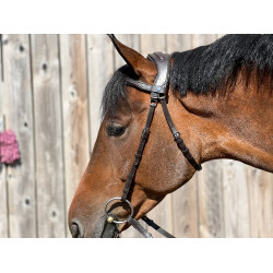 Brida T de T Esencial Confort Havana oscuro Marrón Brida T de T Esencial Confort Havana oscuro Marrón