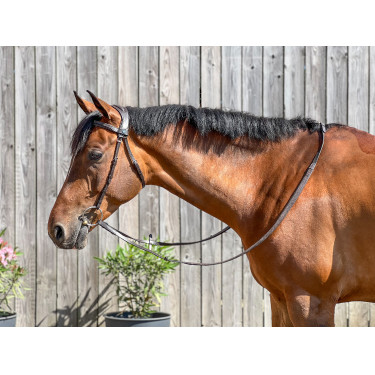 Brida T de T Esencial Confort Havana oscuro Marrón Brida T de T Esencial Confort Havana oscuro Marrón