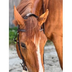 Brida T de T Esencial con puente