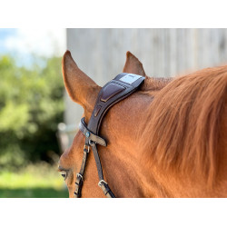 Brida T de T Esencial con puente