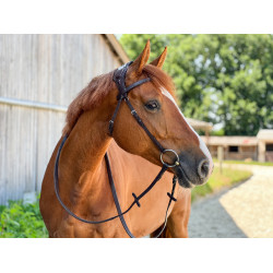 Brida T de T Esencial con puente