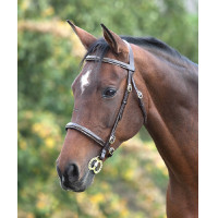 Cabezada Fancy Blenheim Shires