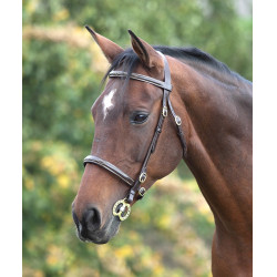 Cabezada Fancy Blenheim Shires