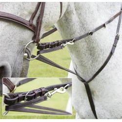 Riendas Howlett Blenheim Shires
