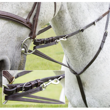 Riendas Howlett Blenheim Shires