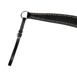 Brustblatt Basket/Spots Pool's Negro