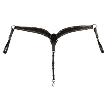 Brustblatt Basket/Spots Pool's Negro