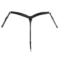 Pechopetral Barbwire Pool's Negro