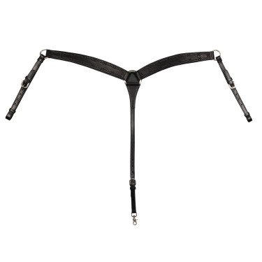 Pechopetral Barbwire Pool's Negro Pechopetral Barbwire Pool's Negro