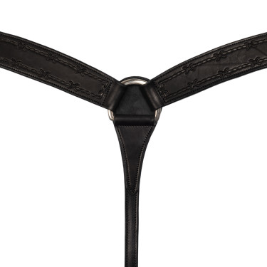 Pechopetral Barbwire Pool's Negro Pechopetral Barbwire Pool's Negro