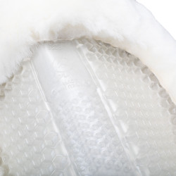 Amortiguador SP WFS ante oveja Acavallo