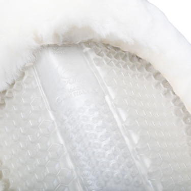 Amortiguador SP WFS ante oveja Acavallo