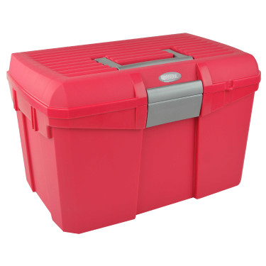 Caja de limpieza Norton Frambuesa / grís Rojo