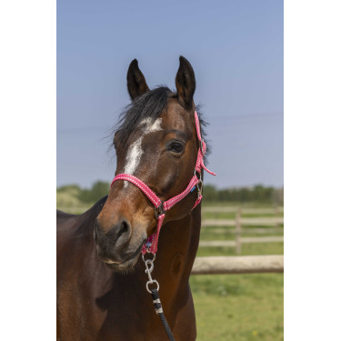 Cabezada Norton Grooming Rosa Viejo
