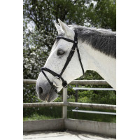 Cabezada Norton Pro Combinée Negro Cabezada Norton Pro Combinée Negro