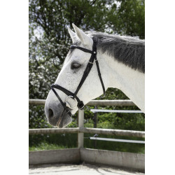 Cabezada Norton Pro Combinée Negro