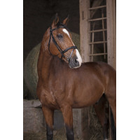 Cabezada Norton Pro Combinée Negro