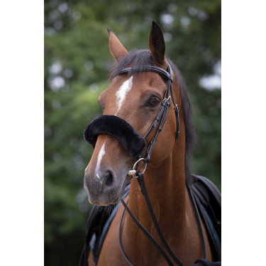 Forro muserola Equi-Theme Teddy Negro