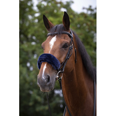 Forro muserola Equi-Theme Teddy Azul marino