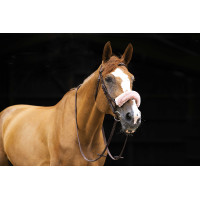 Forro muserola Equi-Theme Teddy Azul marino