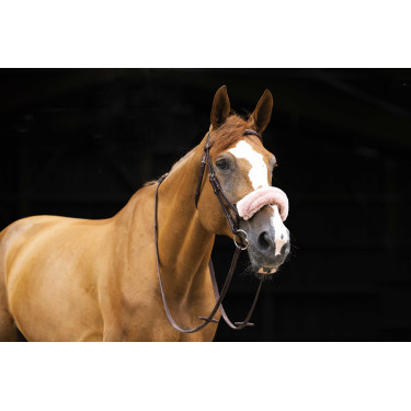 Forro muserola Equi-Theme Teddy Oro rosa Negro