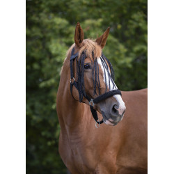 Frontalera mosquero Norton Negro