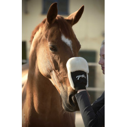 Guante de limpieza Pénélope Negro